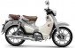 Honda Super Cub mới sẽ mở bán tại Việt Nam ngay trong tháng 9, giá cao nhất gần 90 triệu đồng